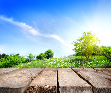 Field and wooden floorの写真素材