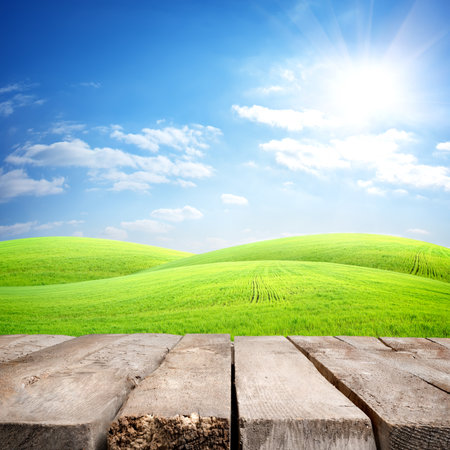 Table and field