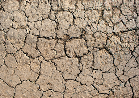 Cracked earthの写真素材