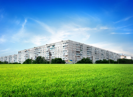 Field of green grass in front of the cityの写真素材