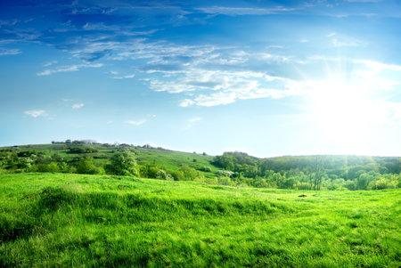 Spring Ukraineの写真素材