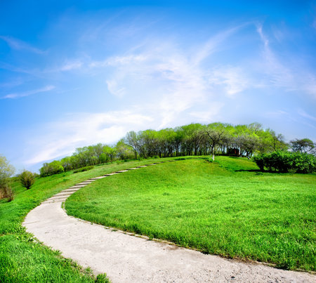 Road on a green hill in spring dayの写真素材