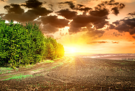 Scene on sunset over black ploughed fieldの写真素材