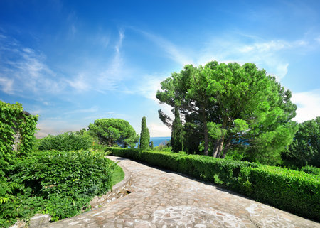 Vorontsov gardenの写真素材