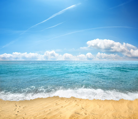 sandy beach and seaの写真素材