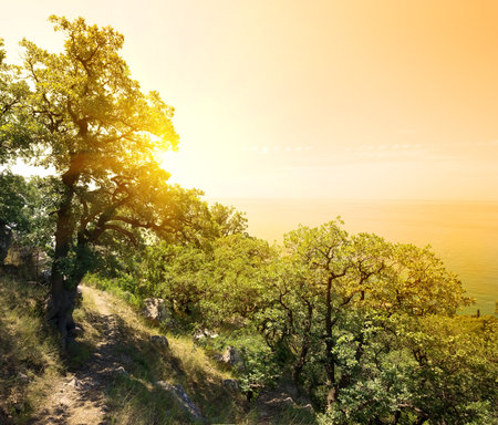 Sunny landscapeの写真素材