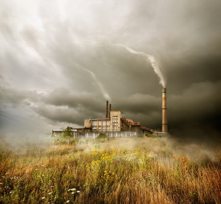 Plant and cloudy sky in the fieldの写真素材