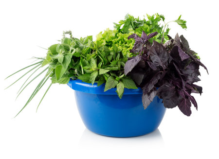 Greens in a blue bowl isolated on a white backgroundの写真素材