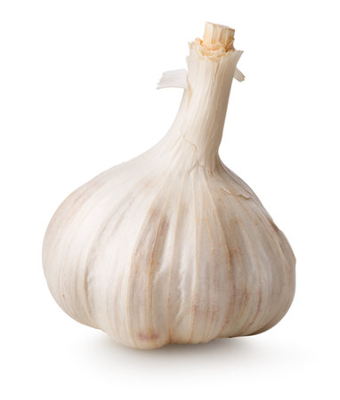White garlic isolated on a white backgroundの写真素材