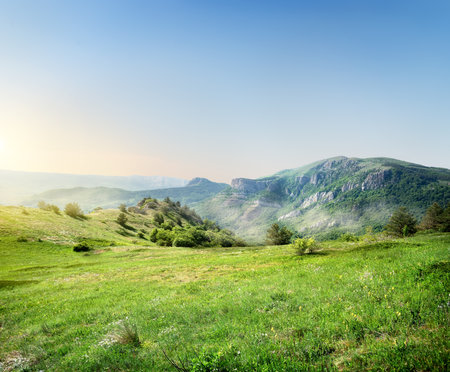 Green meadow on the background of the Crimean mountainsの写真素材