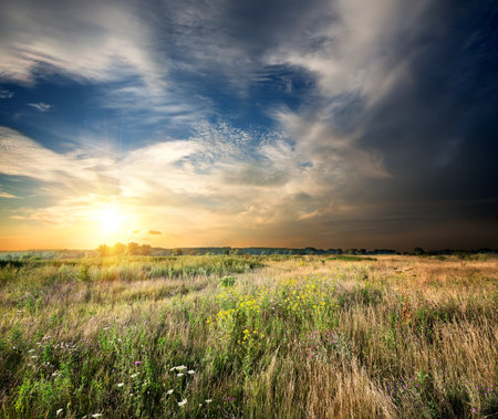 Sunset over a field of meadow grassの写真素材