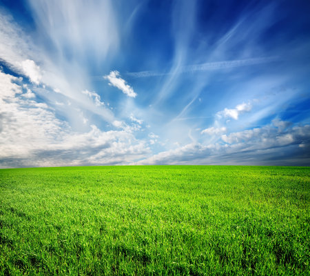 Green field and blue sky lit by the sunの写真素材