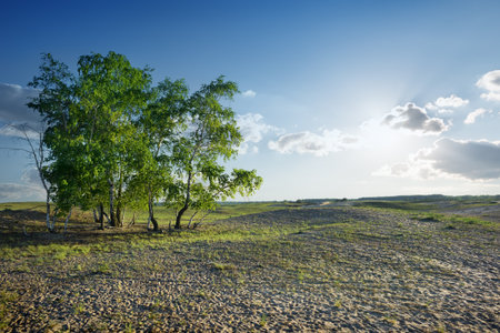 Cloudy sky and sunlight over sandy desertの写真素材