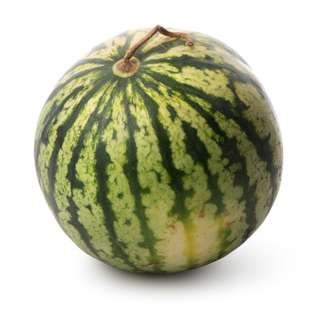 Green watermelon isolated on a white backgroundの写真素材