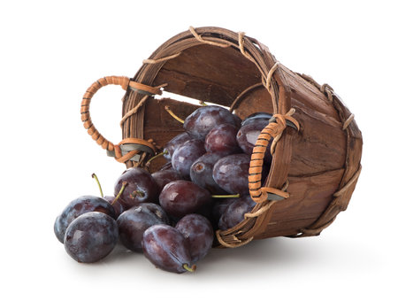Plums in a basket isolated on whiteの写真素材