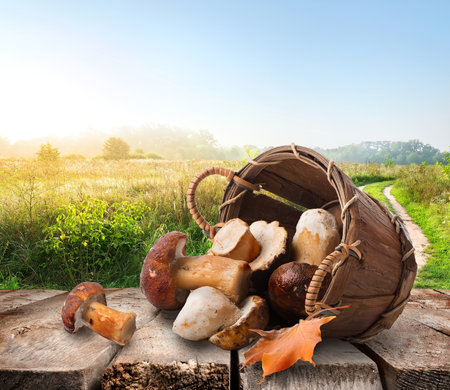 Mushrooms in a basket on wooden tableの写真素材