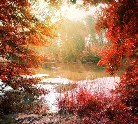Sunbeams over calm river in the autumnの写真素材