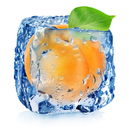 Apricot in ice cube isolated on whiteの写真素材