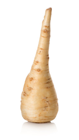 Parsley root isolated on a white backgroundの写真素材