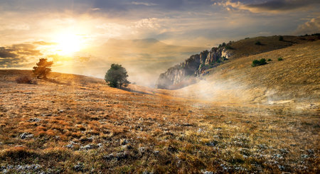 Dry grass on field in mountains in autumnの写真素材