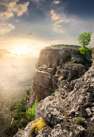 Big birds over mountain plateau at sunsetの写真素材