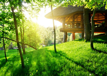Gazebo among the green trees in sunny dayの写真素材