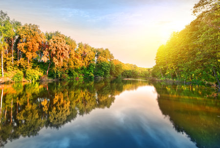 Pink sunrise over calm river in the forestの写真素材