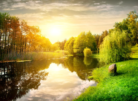 Sunset over calm river in the parkの写真素材