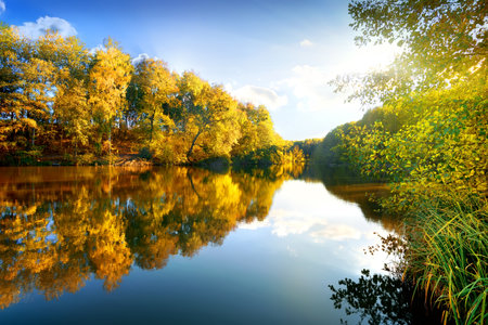 Colorful autumn on calm river in sunny morningの写真素材