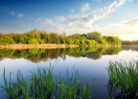 Reflection of forest in river at the sunsetの写真素材
