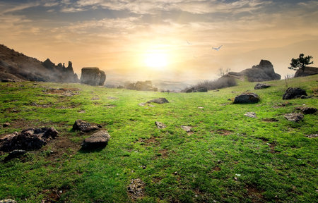 Fog and birds in the Valley of Ghostsの写真素材
