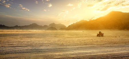 Sandy field in desert of Egypt at sunsetの写真素材