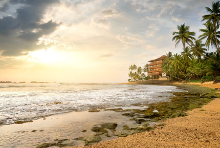 House between palm trees on a beach of the oceanの写真素材