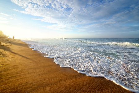 Bright morning on a sandy beach of the oceanの写真素材