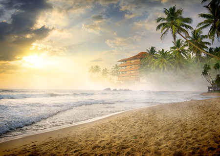 Morning fog over sandy beach of the oceanの写真素材