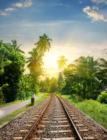 Sundown over railroad in jungle of Sri Lankaの写真素材