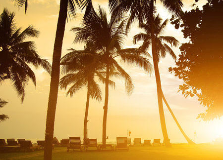 Chaise-longues on a beach of Indian ocean, Sri Lankaの写真素材