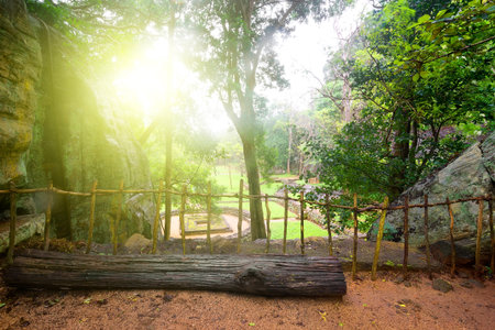 Old ruins in green park on Sigiriya, Sri Lankaの写真素材