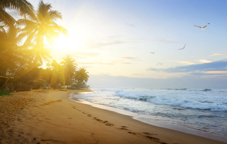 Coast of Indian ocean at sunset, Sri Lankaの写真素材