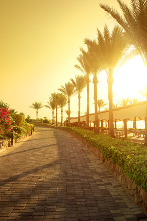 Seafront of paving stone in egyptian parkの写真素材