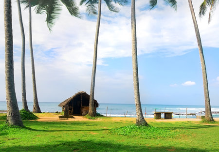 Old shack on the coast of Indian oceanの写真素材