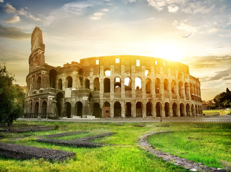 Bird over Colosseum and beautiful yellow sunsetの写真素材