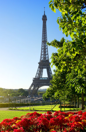 Sunny morning and Eiffel Tower, Paris, Franceの写真素材