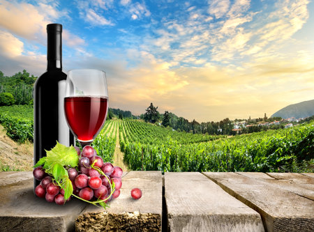 Wine with grape on a background of vineyardの写真素材