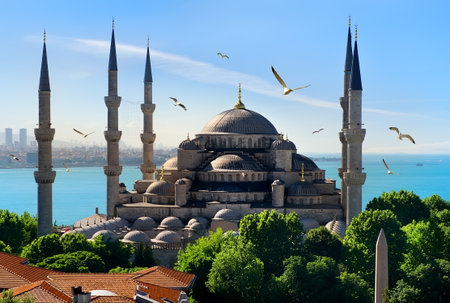 Blue Mosque and Bosphorusの写真素材