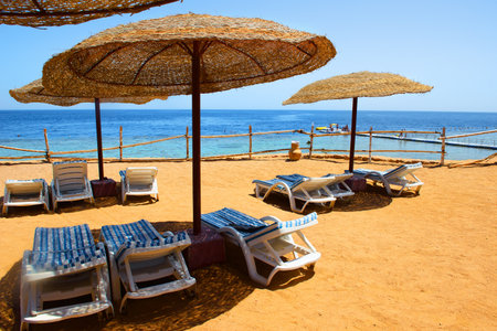 Beach of Red seaの写真素材
