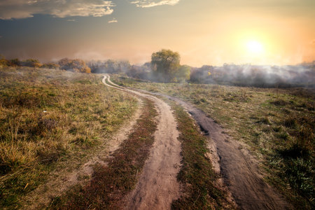 Fog in countrysideの写真素材