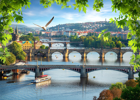 Bridges in a rowの写真素材