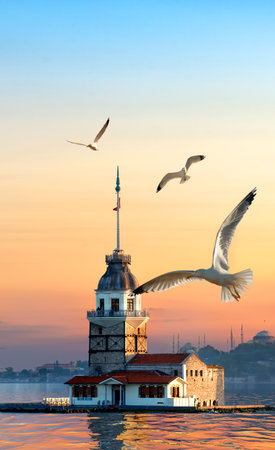 Maiden Tower and seagullsの写真素材