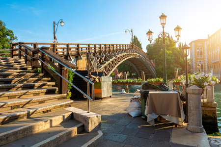 Accademia Bridge in Veniceの写真素材